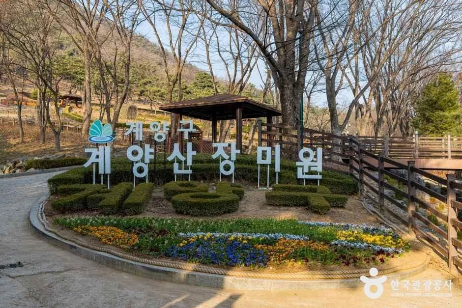 인천_계양공원 (10).jpg