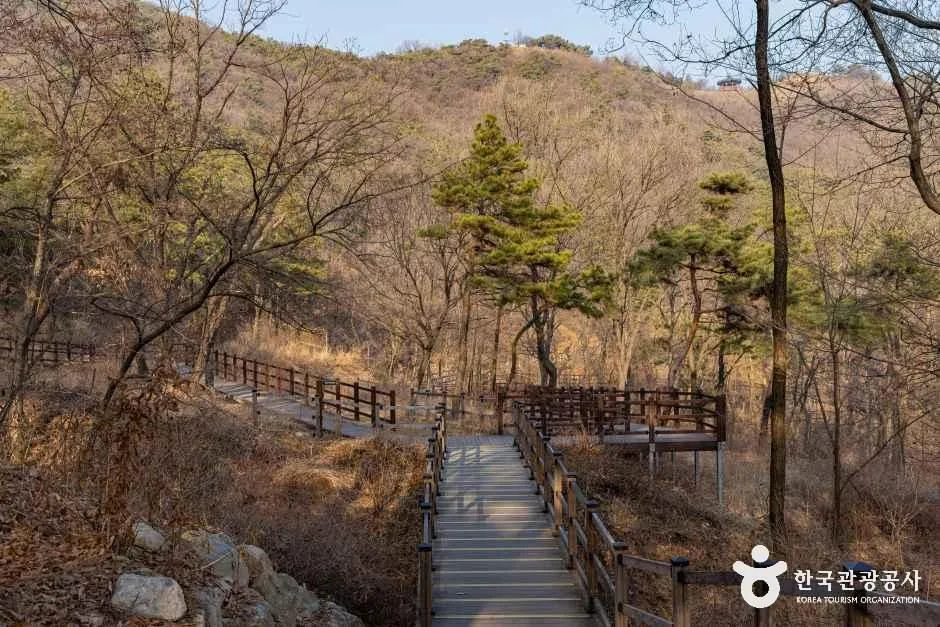 인천_계양공원 (1).jpg