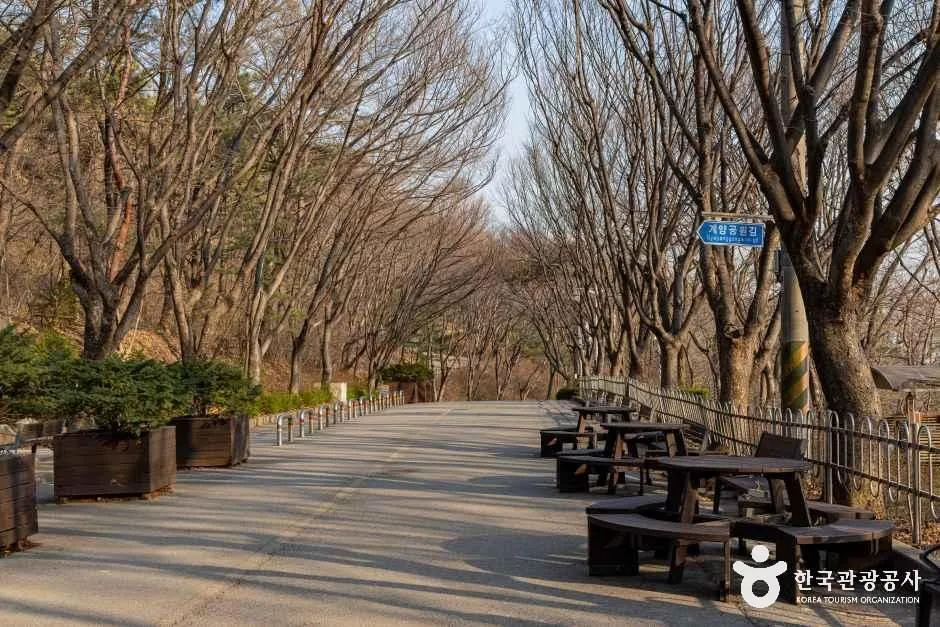 인천_계양공원 (2).jpg