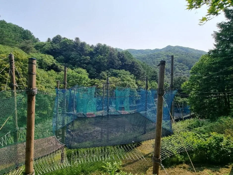 실외_하늘네트 어드벤처 (3)