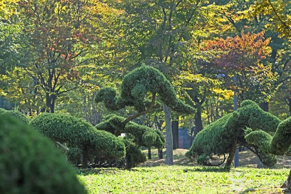 효원공원 (2)
