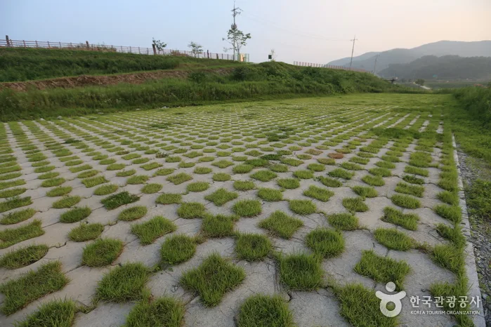 충북_충주_봉황경(능암리섬)01