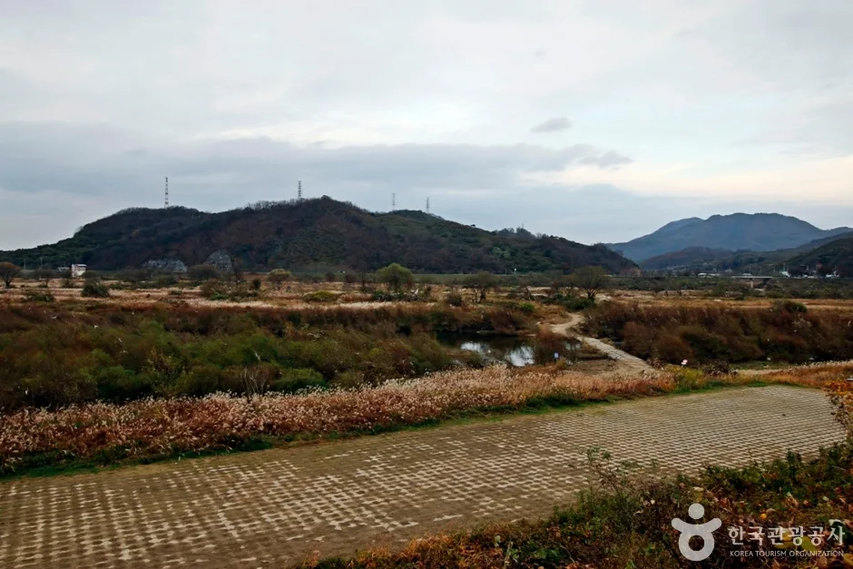 봉황경(능암리섬) (4)