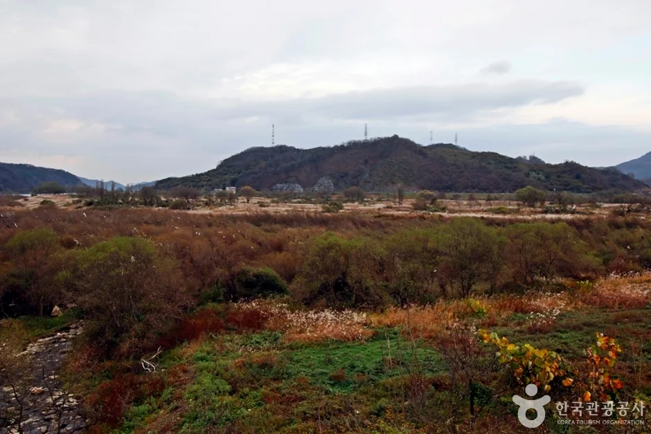 봉황경(능암리섬) (1)