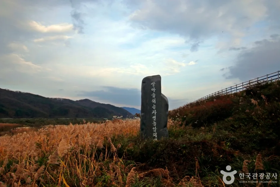 봉황경(능암리섬) (8)