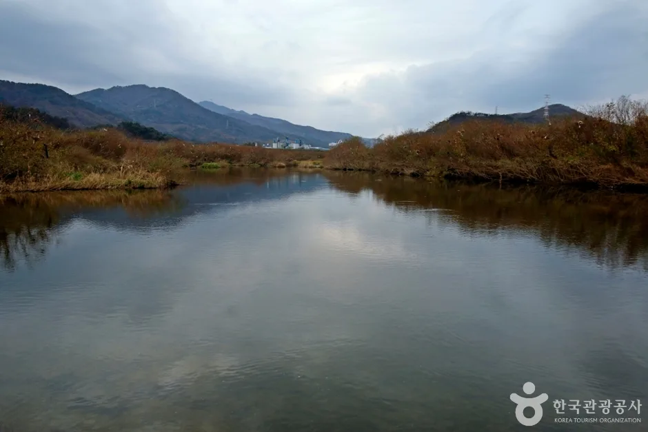 봉황경(능암리섬) (10)