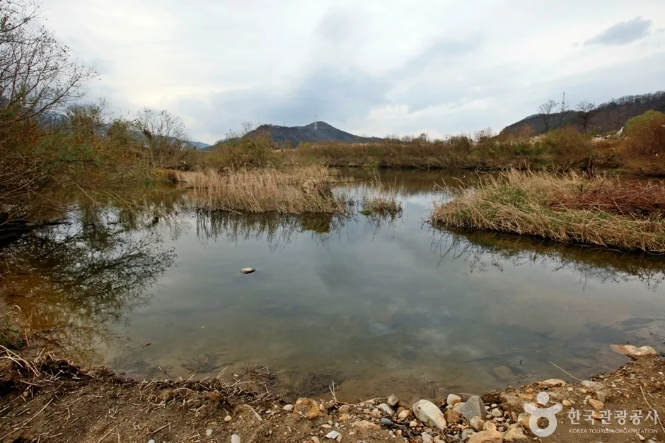 봉황경(능암리섬) (6)