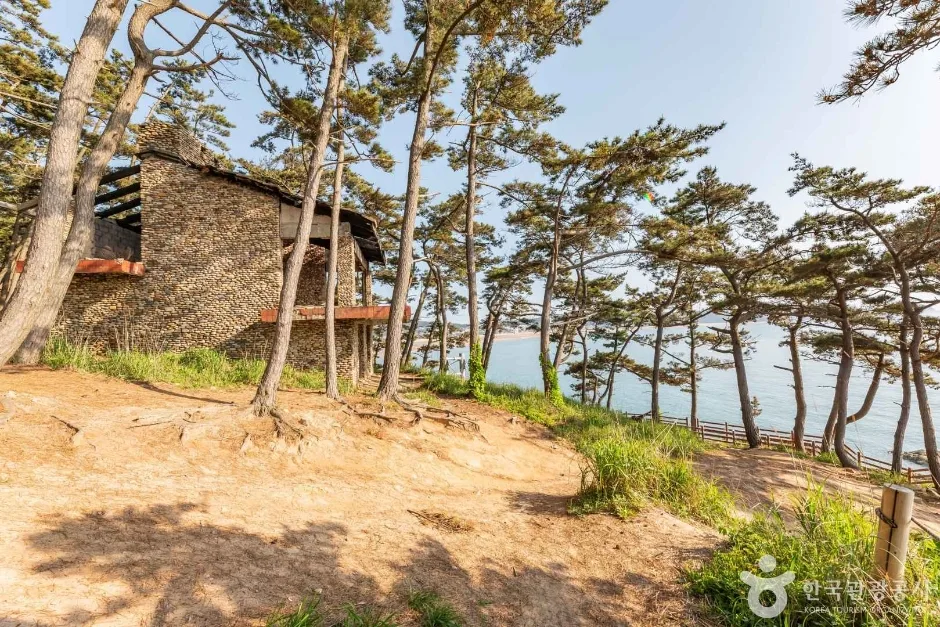 뭍닭섬 산책로_13