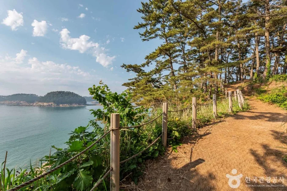 뭍닭섬 산책로_12