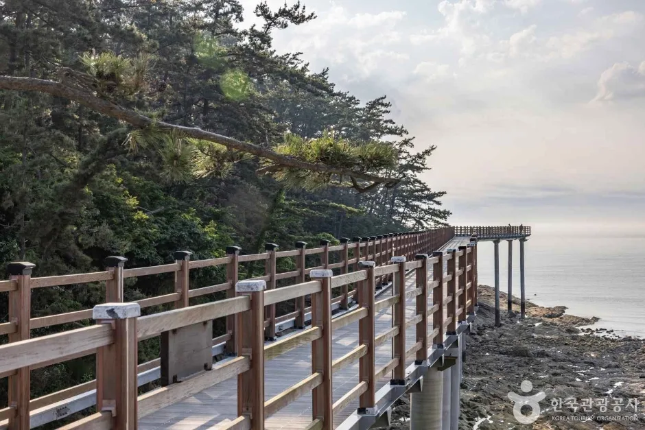 뭍닭섬 산책로_11