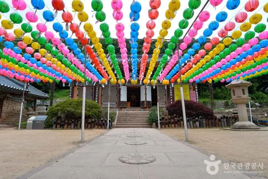 해남_대흥사 (1)