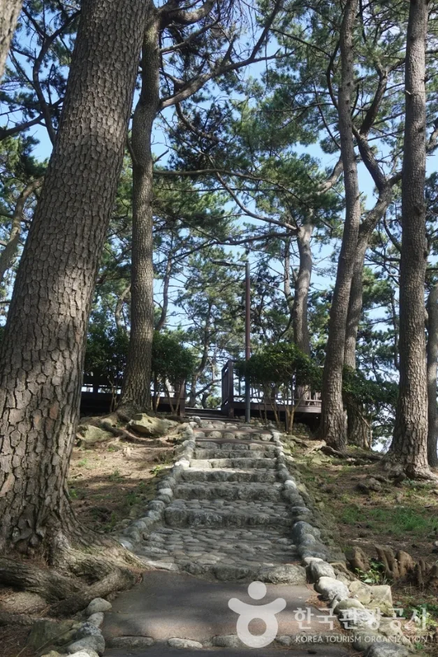 송정죽도공원(1)_수정