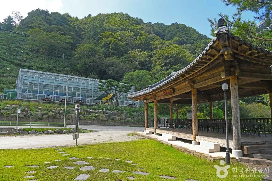인제_고로쇠마을(미산마을) (7)