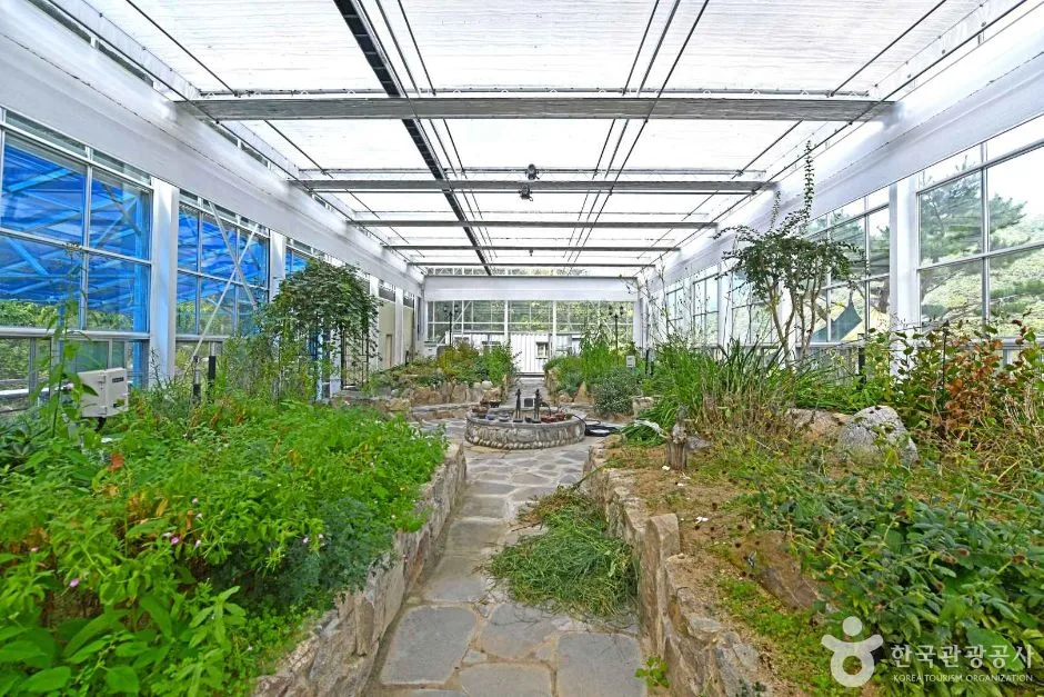 인제_고로쇠마을(미산마을) (5)