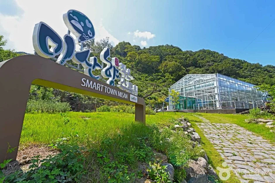인제_고로쇠마을(미산마을) (3)