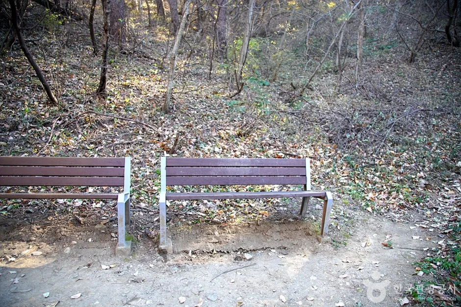 청대산 (9)