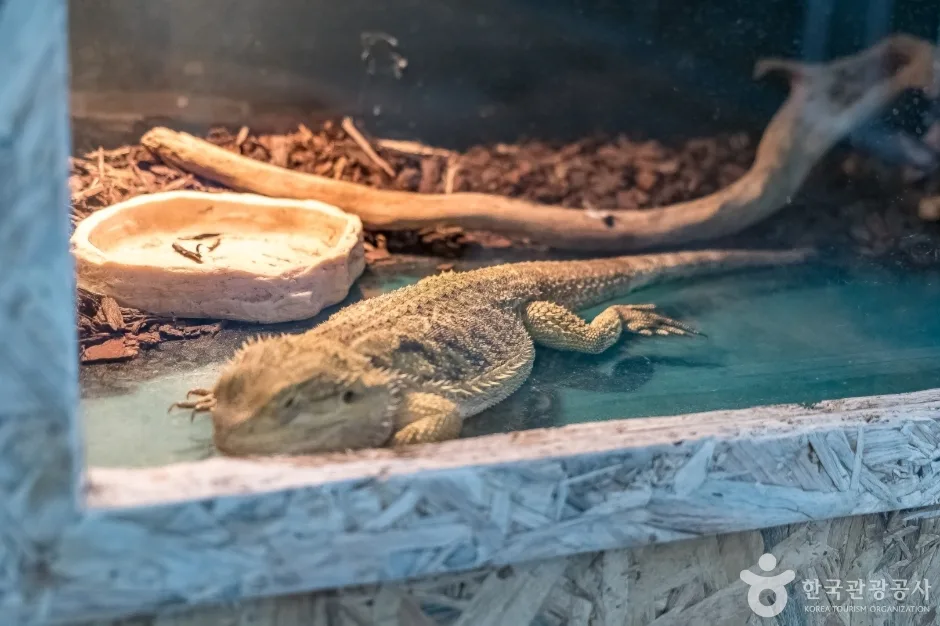 토끼의 숲 (16)
