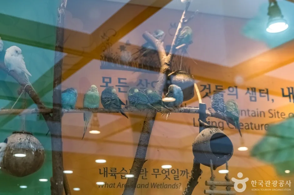 토끼의 숲 (14)