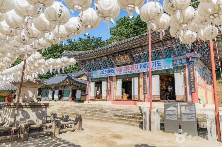 남양주 봉선사