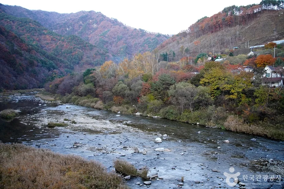홍천 살둔마을 (14)