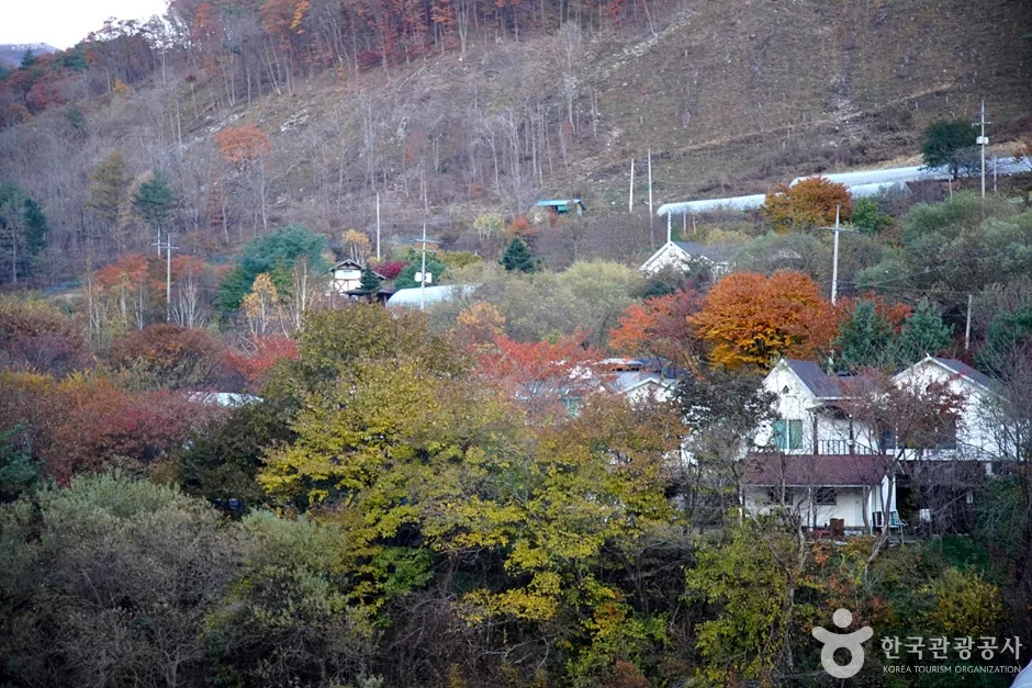 홍천 살둔마을 (7)