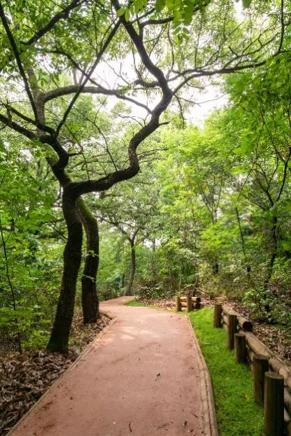 강서구_꿩고개공원 (3)