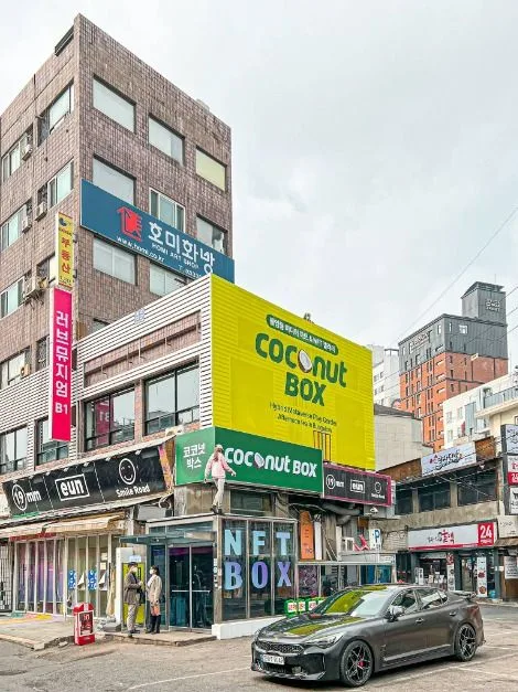 코코넛박스 (9)