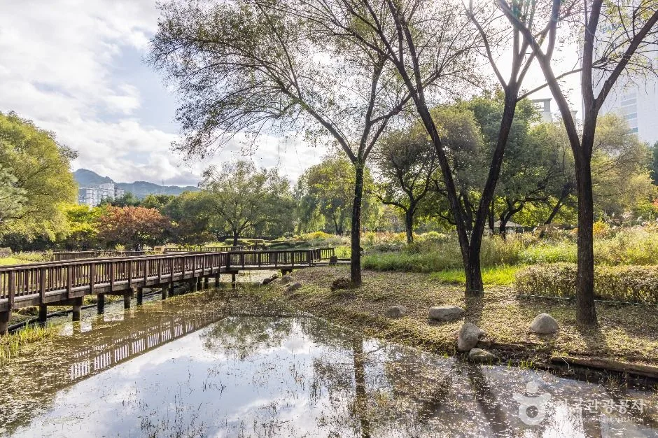 서울_서울창포원 (5)