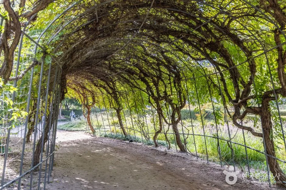 서울_서울창포원 (17)