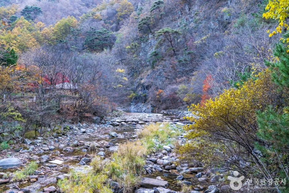 남천계곡 (9)