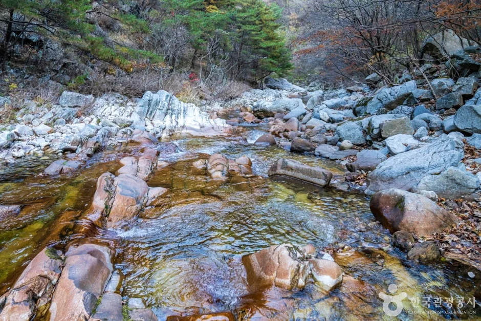 남천계곡 (5)