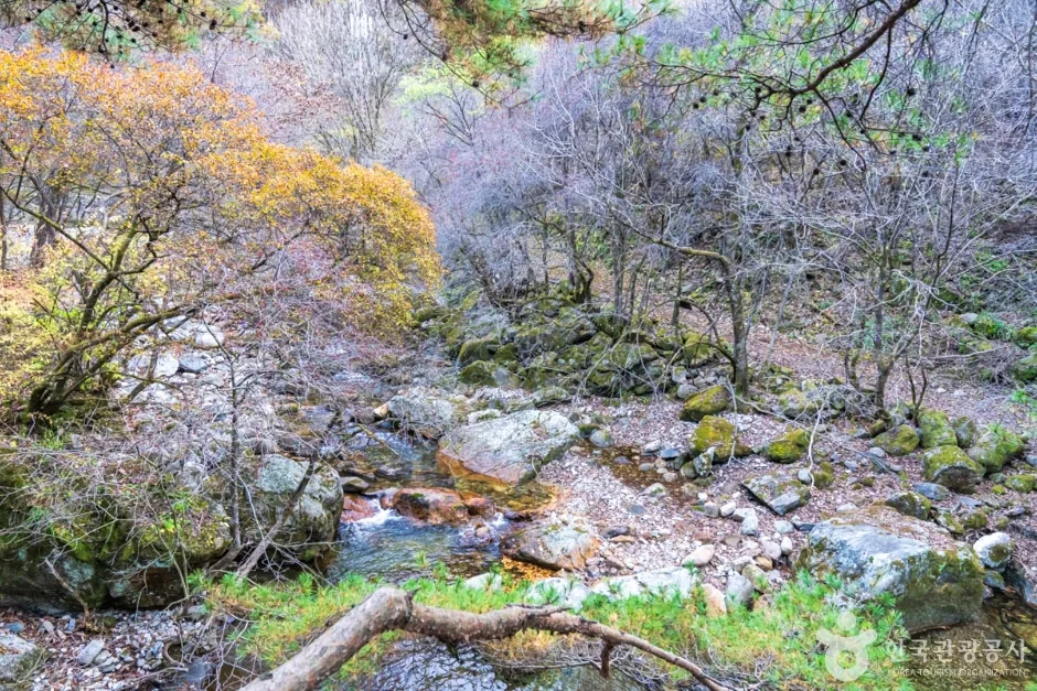 남천계곡 (13)