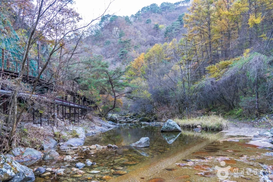 남천계곡 (10)