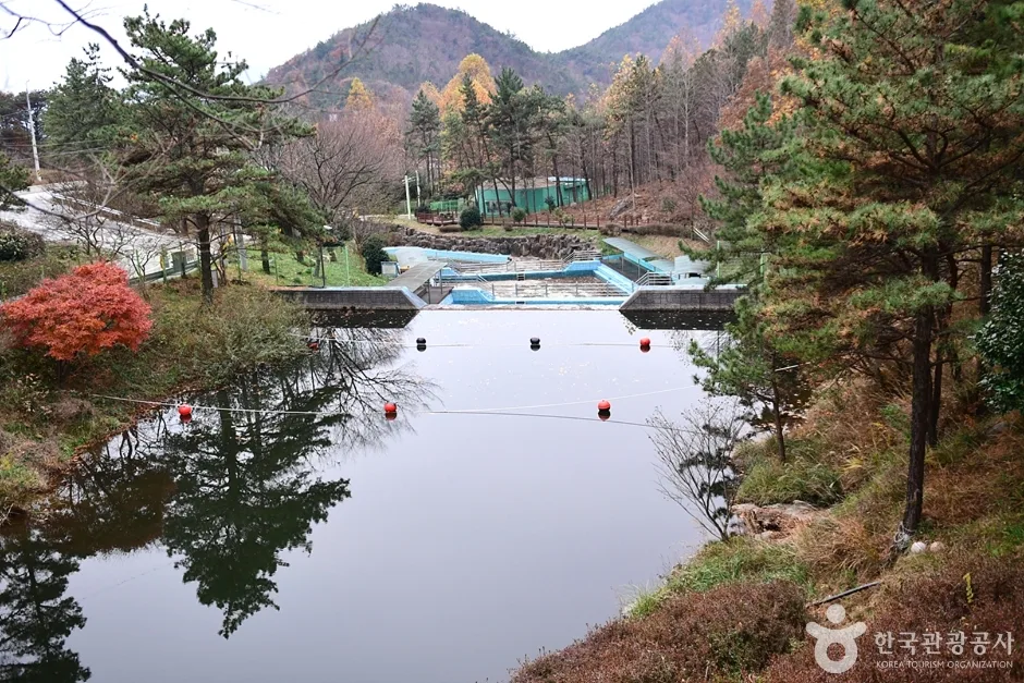 전남_해남_흑석산 자연휴양림 (13)