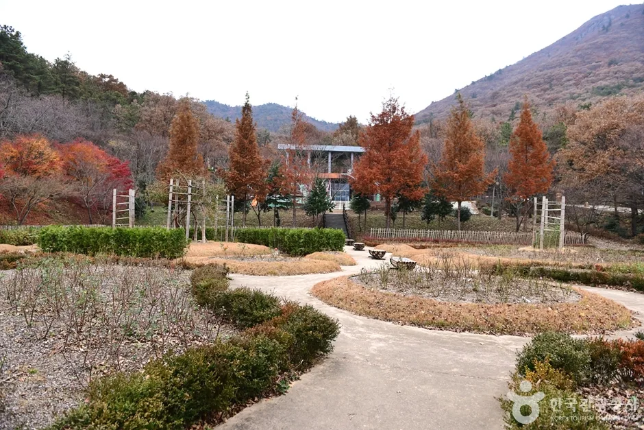 전남_해남_흑석산 자연휴양림 (19)