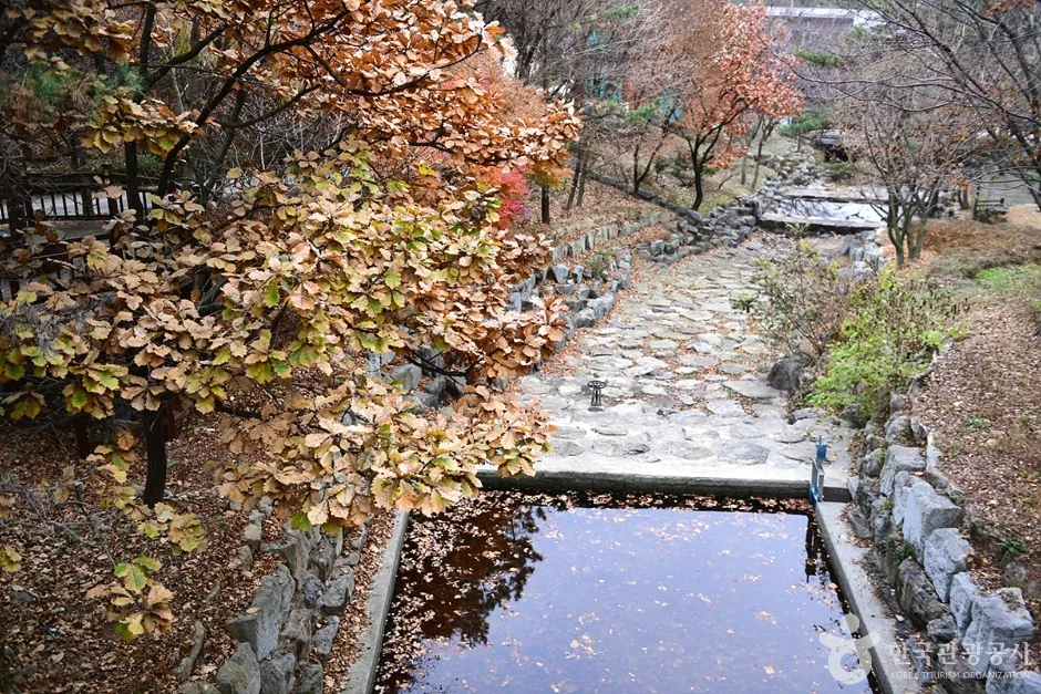 전남_해남_흑석산 자연휴양림 (7)