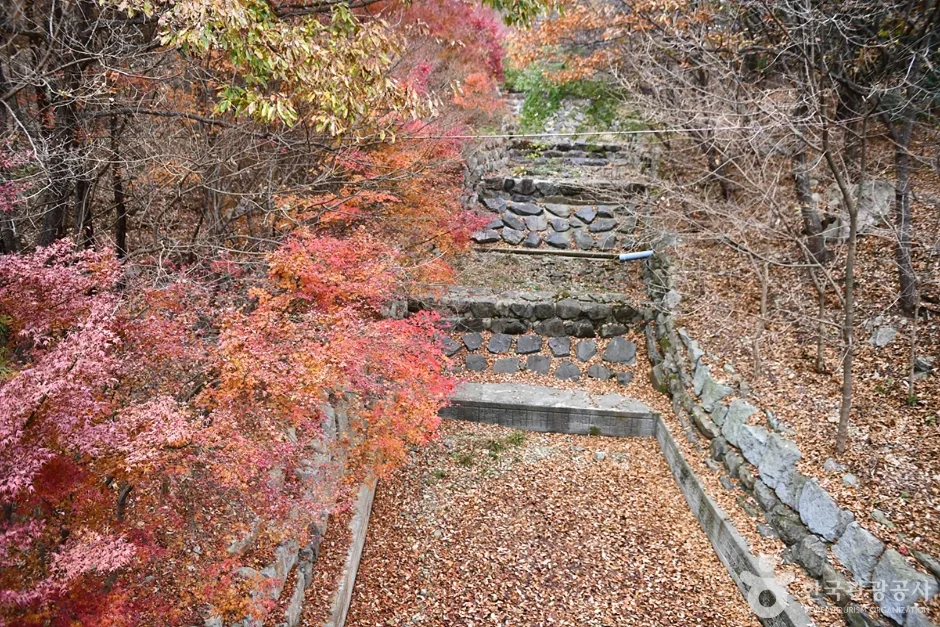 전남_해남_흑석산 자연휴양림 (9)