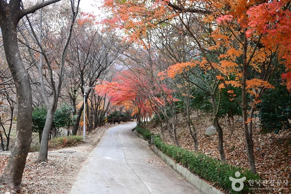 전남_해남_흑석산 자연휴양림 (19)