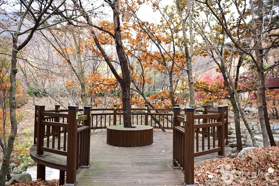 전남_해남_흑석산 자연휴양림 (5)