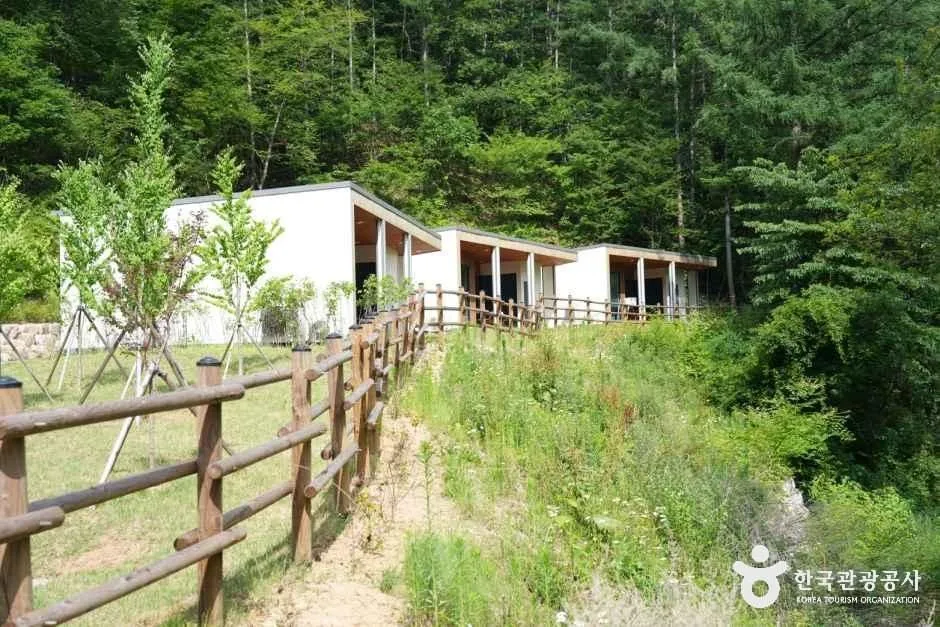 충남_금산_국립금산자연휴양림_외부_5.JPG