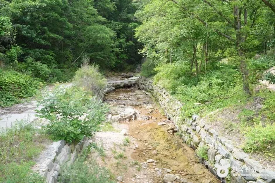 충남_금산_국립금산자연휴양림_외부_6.JPG