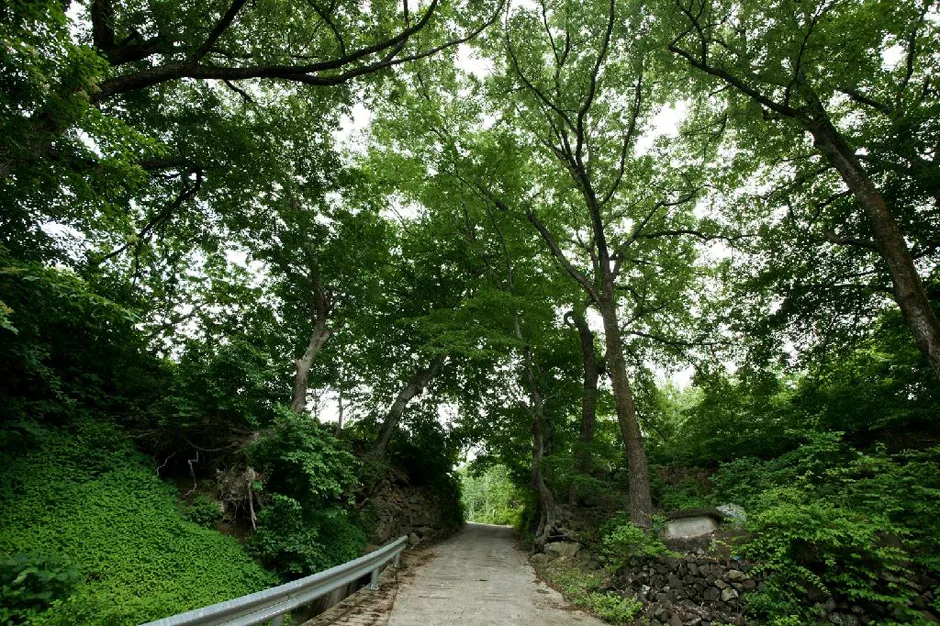 경남_산청군_대장마을_전경 (3)