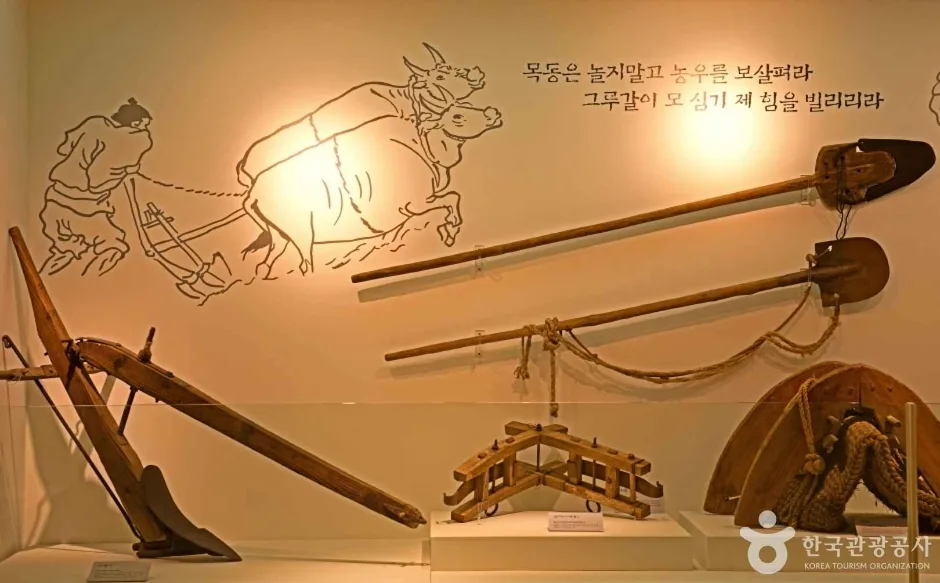 보은군 농경문화관 (3)