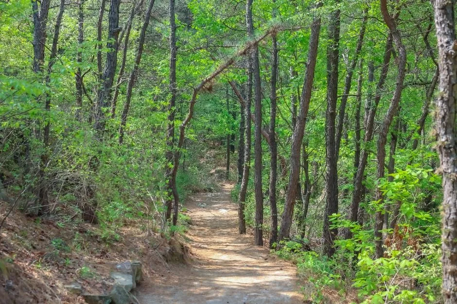 [서울둘레길 12코스] 호암산코스 (9)