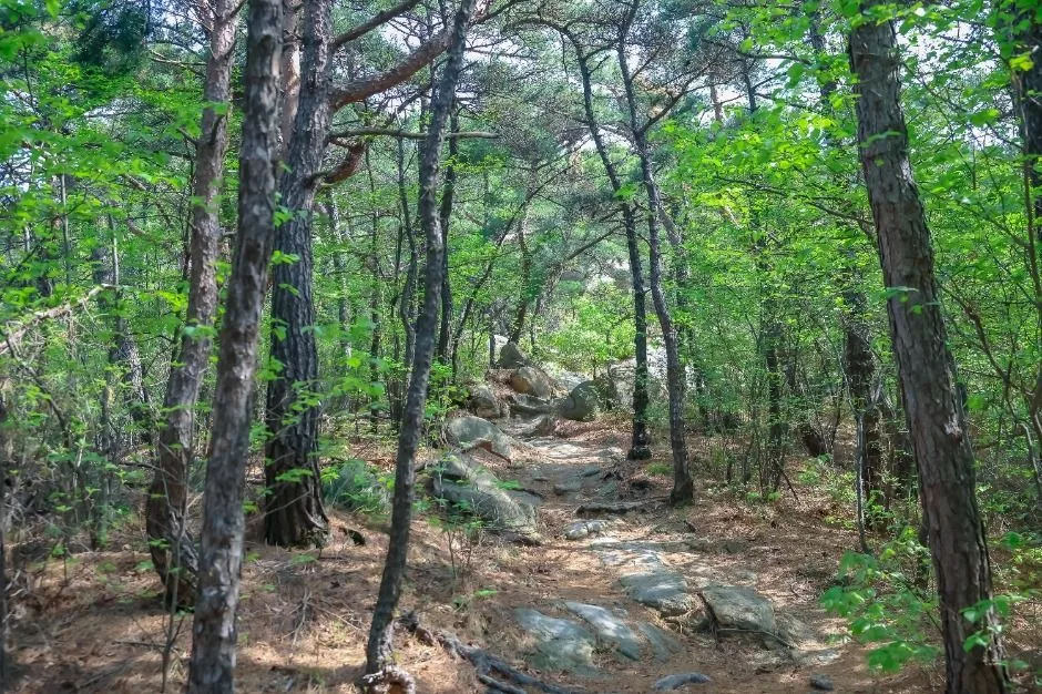 [서울둘레길 12코스] 호암산코스 (8)