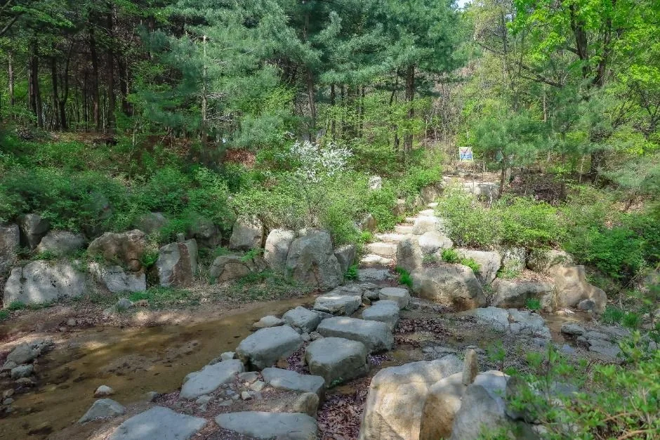 [서울둘레길 12코스] 호암산코스 (7)