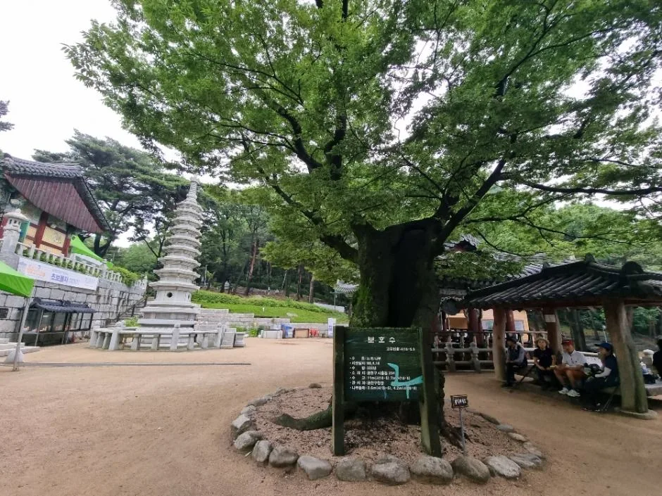 [서울둘레길 12코스] 호암산코스 (2)