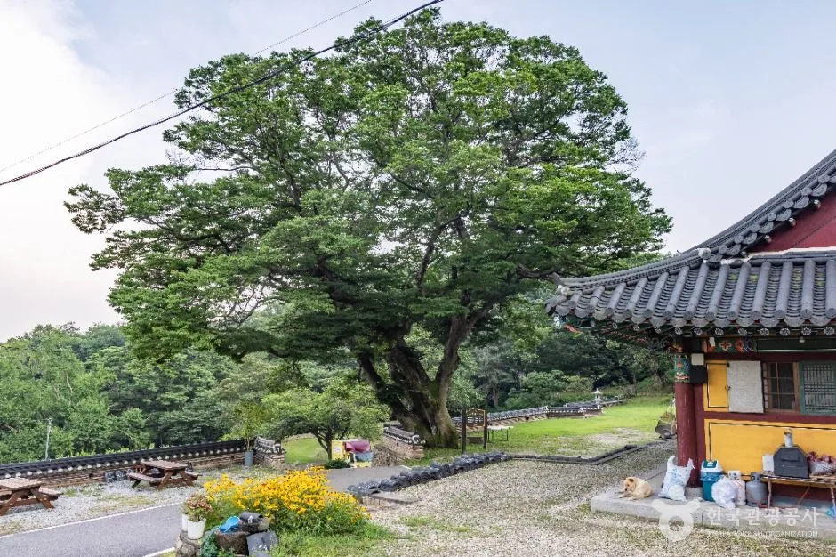 강화_청련사(강화) (6)