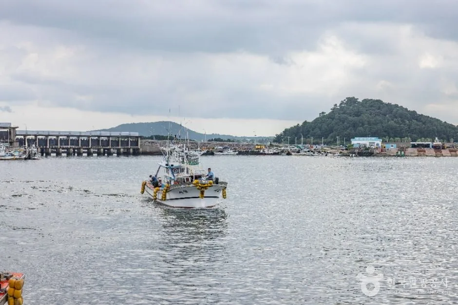 제주_제주 성산항 (5)