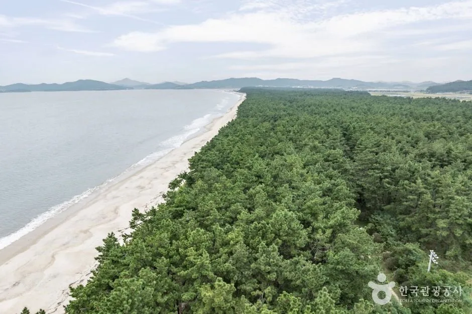 신안_증도 우전해수욕장 (5)